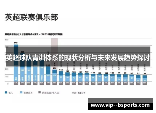 英超球队青训体系的现状分析与未来发展趋势探讨