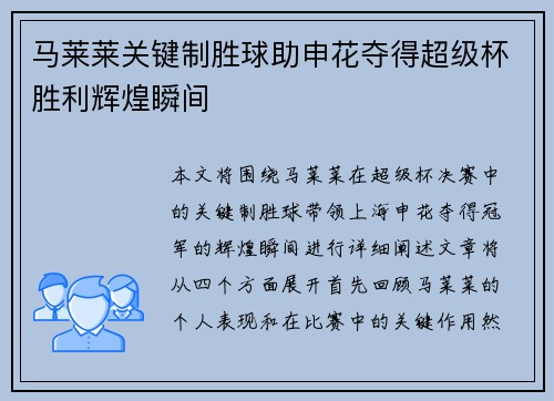 马莱莱关键制胜球助申花夺得超级杯胜利辉煌瞬间